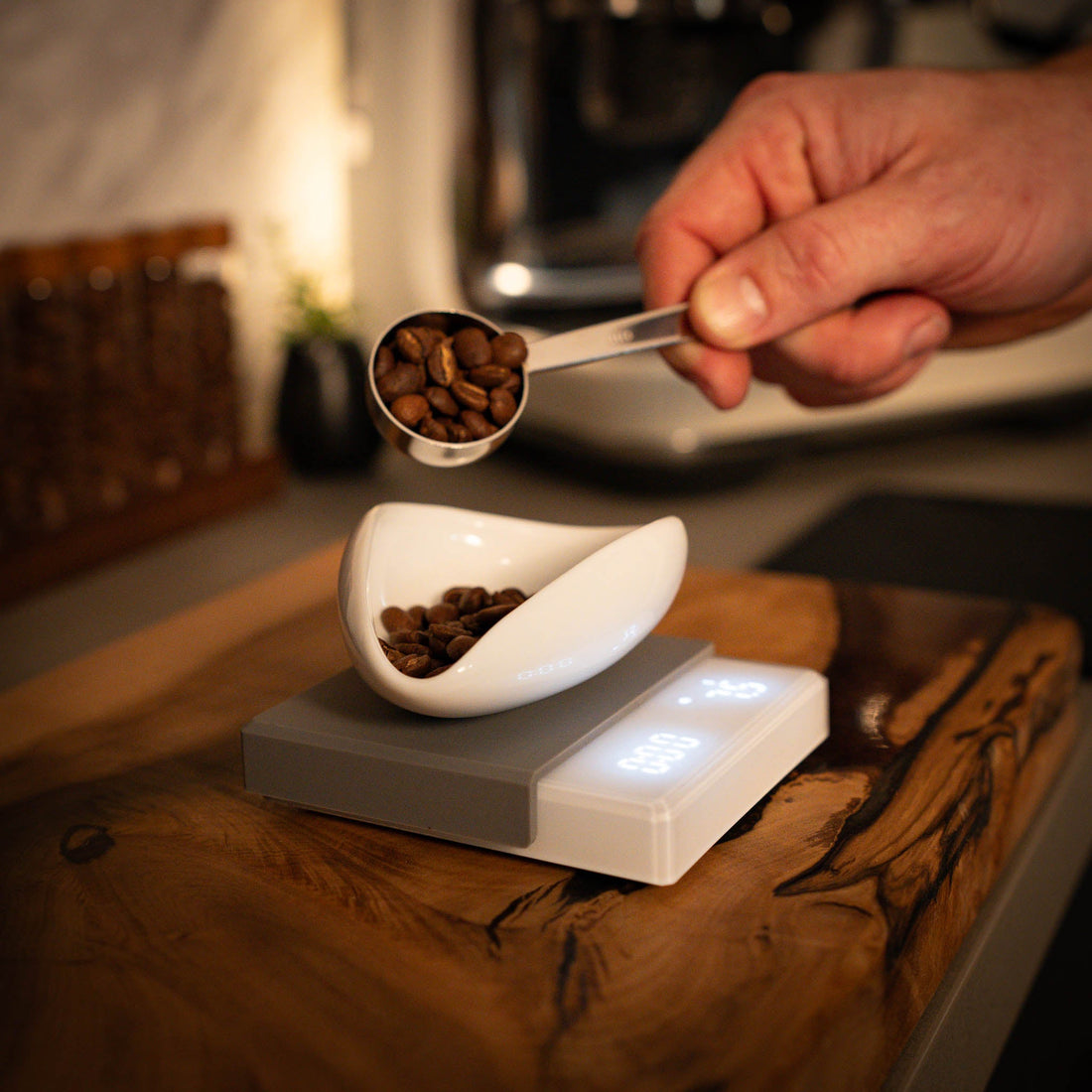 Sunbeam Origins Series | A Home Barista's Guide