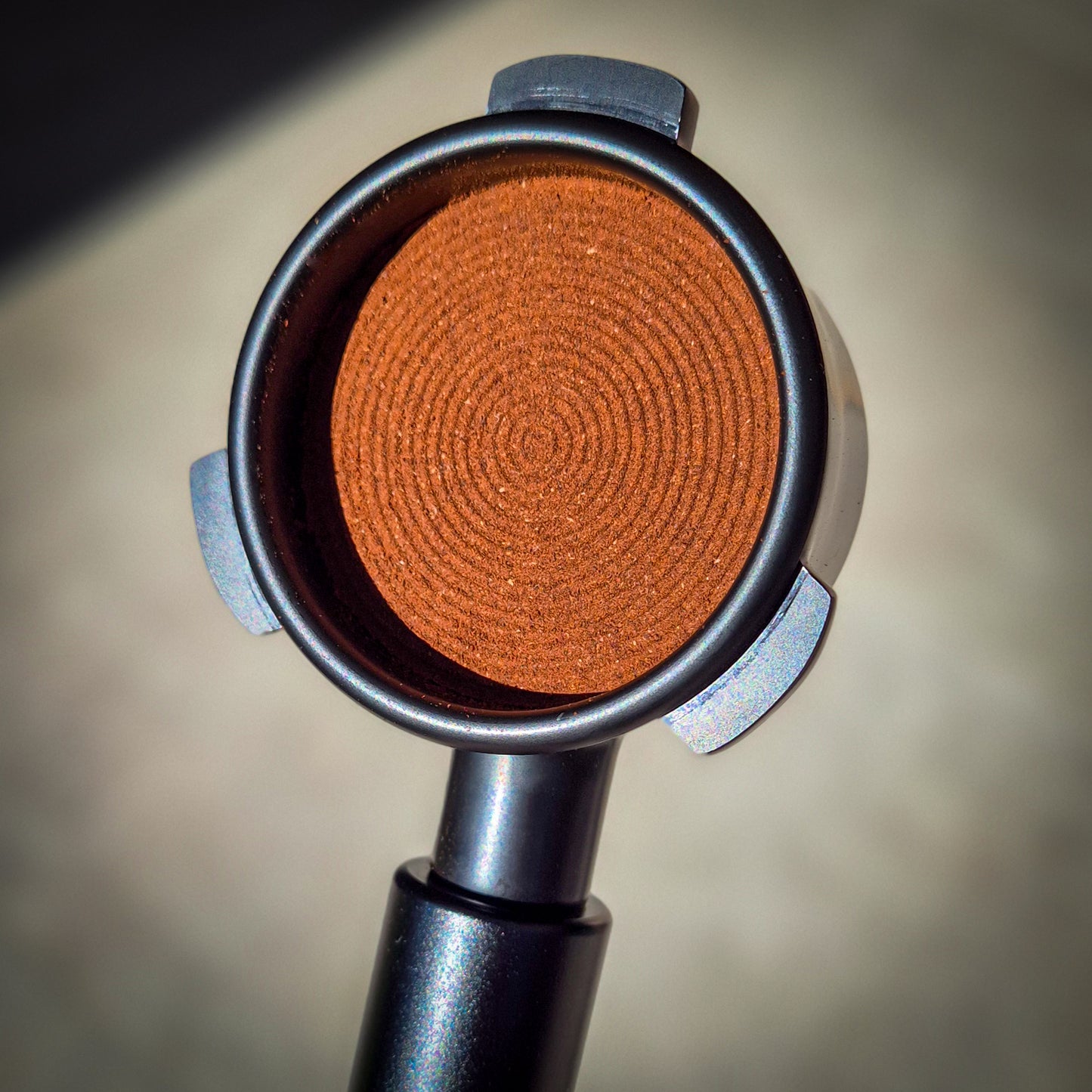 Self Levelling Coffee Tamper (Black/Walnut)