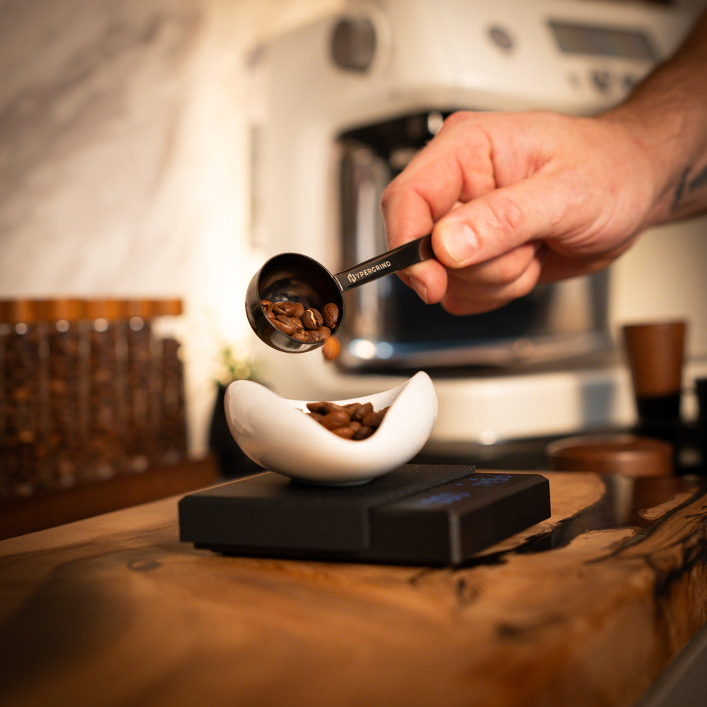 Coffee Measuring Spoon (Metal)